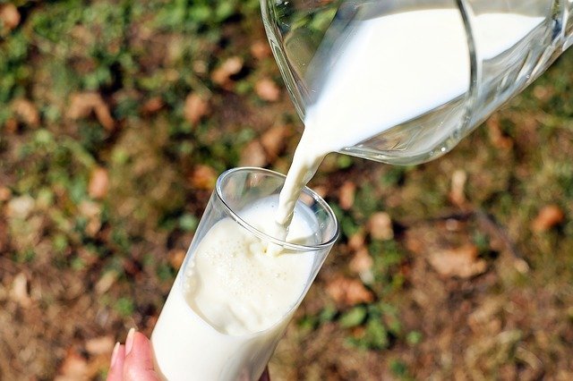 Rostlinná mléka a jejich vliv na zdraví